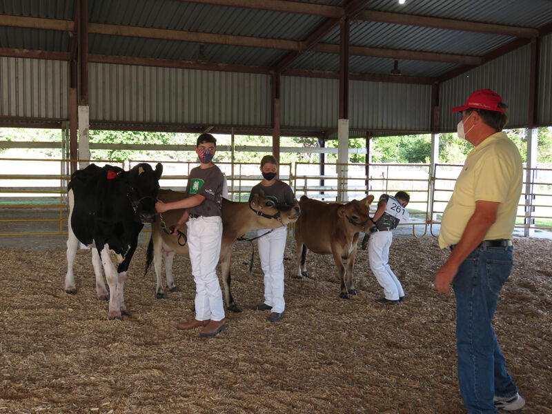 Dairy show, Braydon and Madelyn Weekley, Devin Merchant, judge Dan Wolfe, Kearney